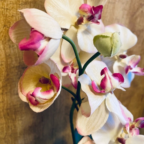 Orchidae Astralgus Silk Faux Orchid Standing Plant With Leaves & Bronze Pot - Picture 4 of 8